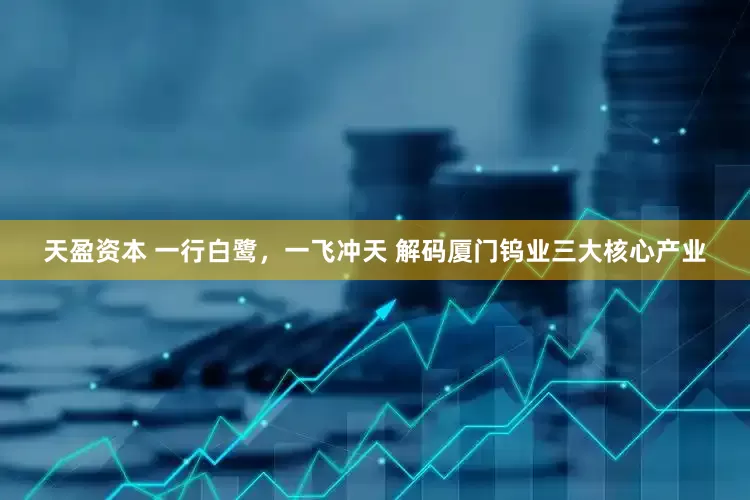 天盈资本 一行白鹭，一飞冲天 解码厦门钨业三大核心产业