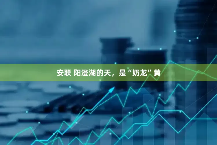 安联 阳澄湖的天，是“奶龙”黄