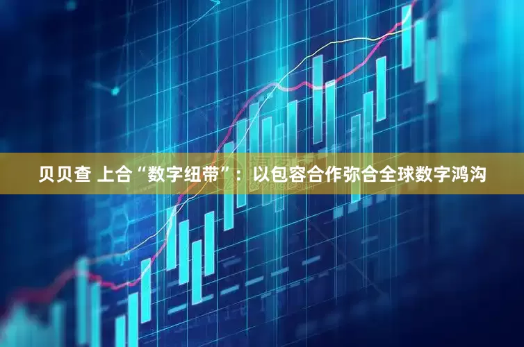 贝贝查 上合“数字纽带”：以包容合作弥合全球数字鸿沟